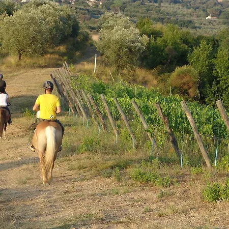 Eco-bio Belmonte Vacanze *