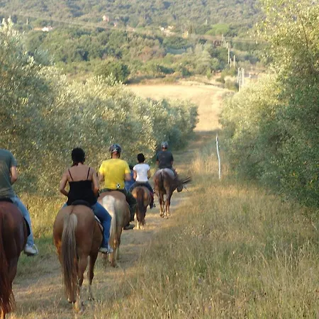 Eco-bio Belmonte Vacanze Farm stay Montaione