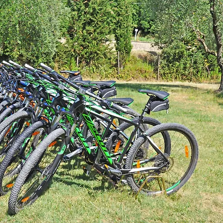 Eco-bio Belmonte Vacanze Montaione