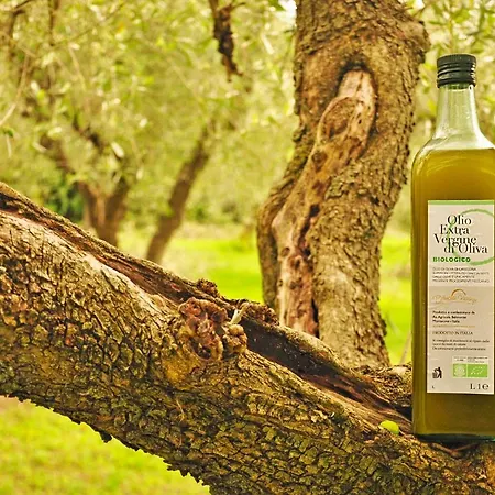 Eco-bio Belmonte Vacanze Montaione