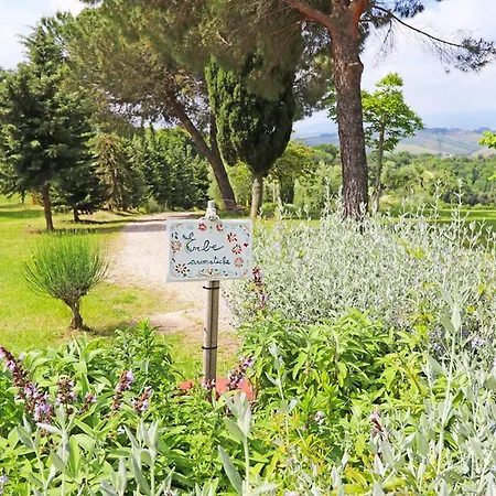 Eco-bio Belmonte Vacanze Montaione
